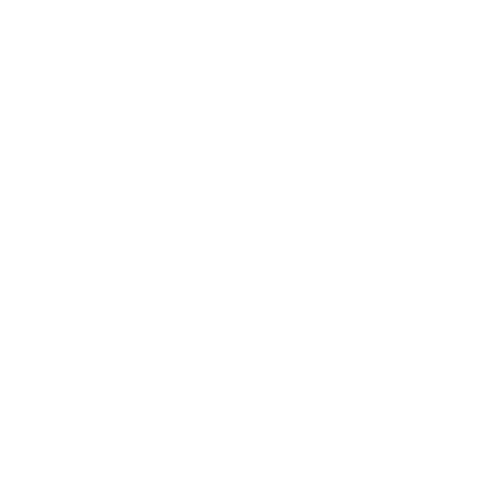 Groupe-Sandaya_white